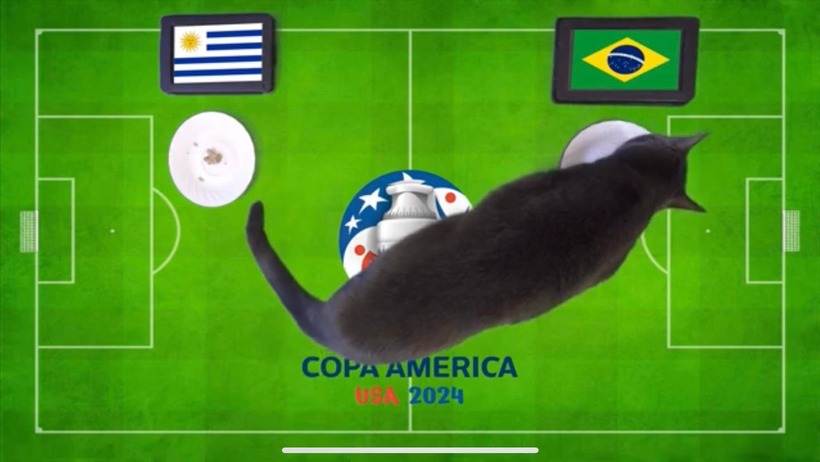  Nhận định soi kèo trận Brazil vs Uruguay, Copa America 2024 8h ngày 7/7: Mèo Cass chọn Uruguay 